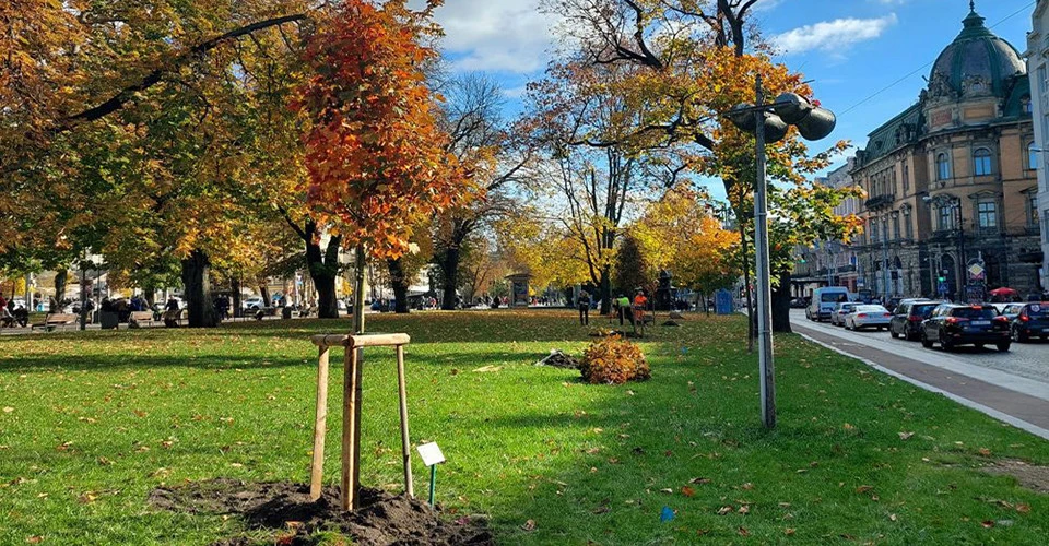 Сотня людей долучилися до акції "Подаруй місту дерево"