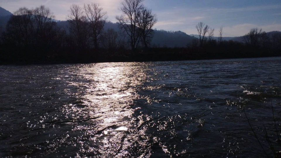 Річка Тиса на Закарпатті