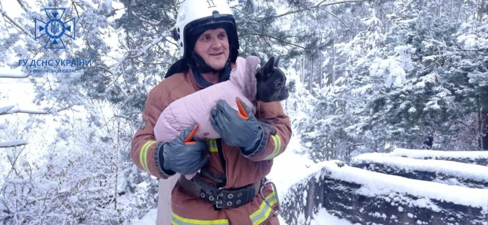 Порятунок песика завершився успішно