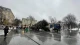 головна ялинка у Львові