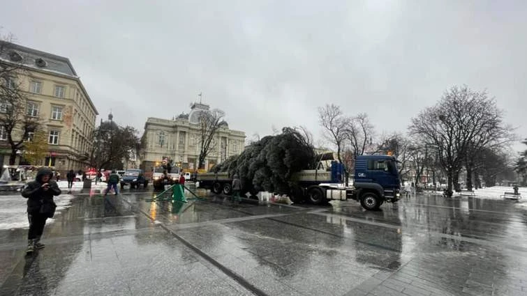 головна ялинка у Львові