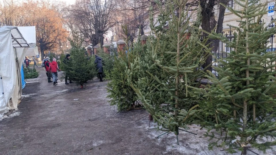 ялинка