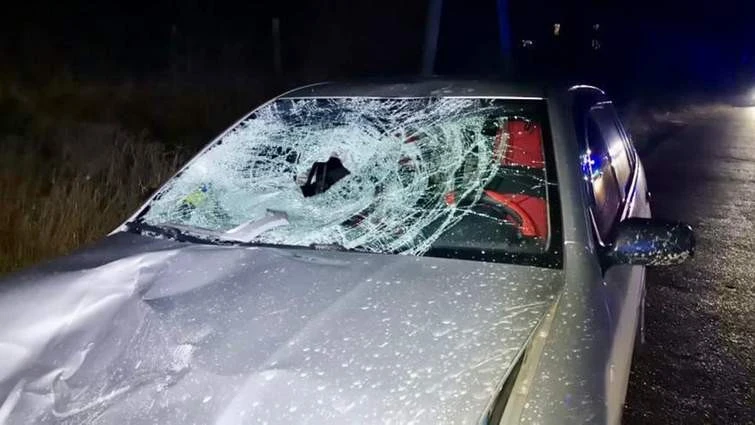 дтп на Закарпатті