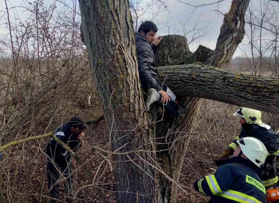 чоловіка придавило дерево