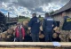 Вирубка лісу у Славському лісгоспі: затримано п'ятьох підозрюваних
