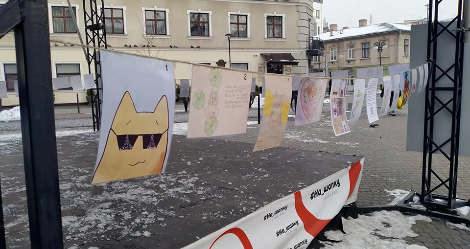 Коти України для ЗСУ