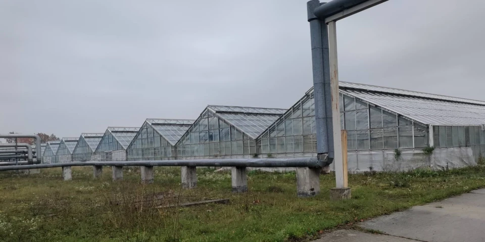 теплиці