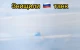 Прикарпатські едельвейси знищили ворожий танк