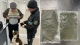 канабіс