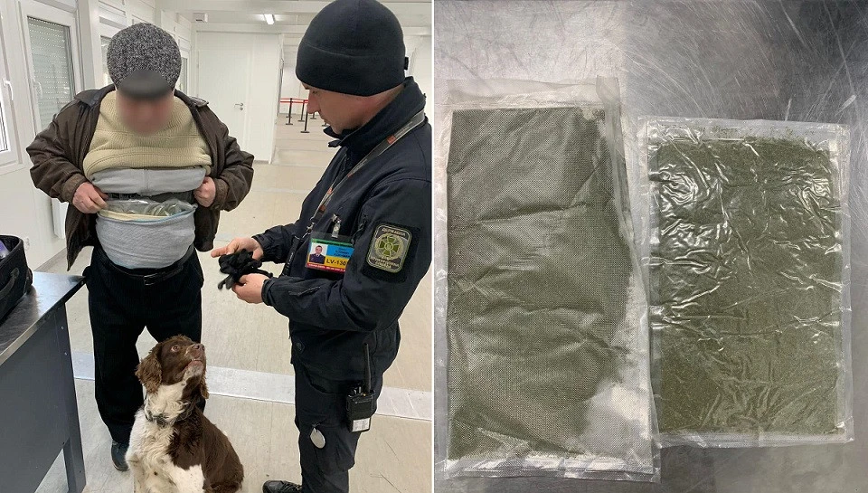 канабіс