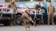 автівки для ЗСУ