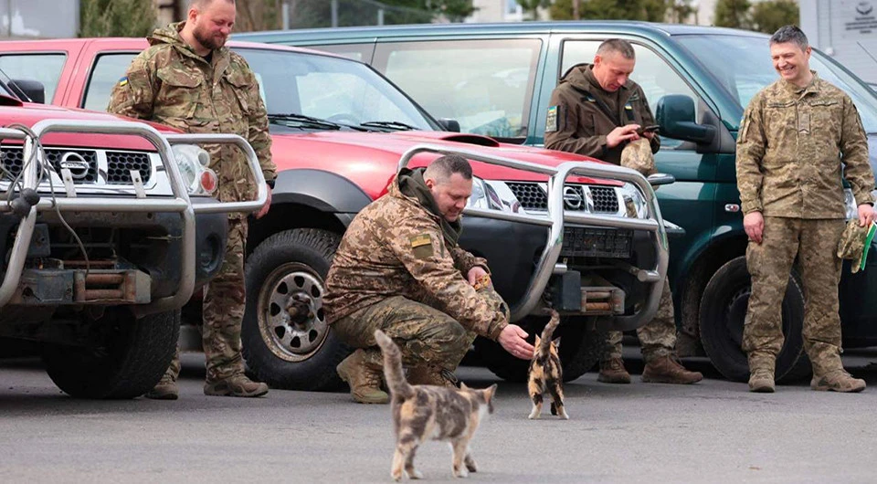 автівки для ЗСУ
