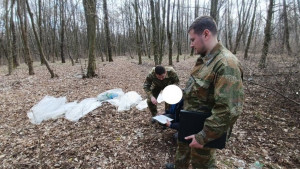 збирач березового соку збирач березового соку