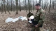 збирач березового соку