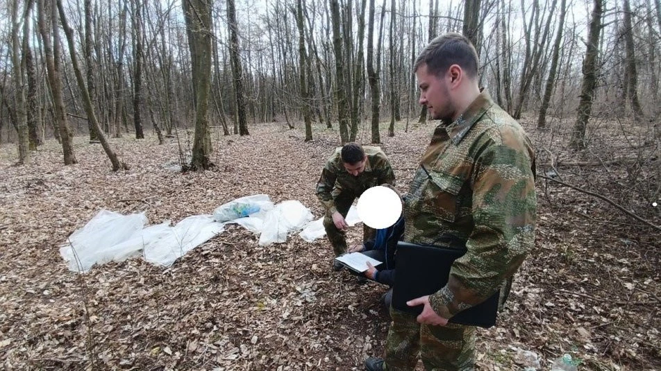 збирач березового соку