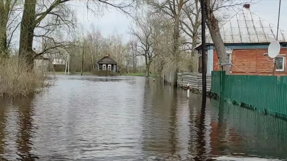 підтоплення