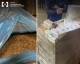 незаконне виробництво сигарет, Рівненщина