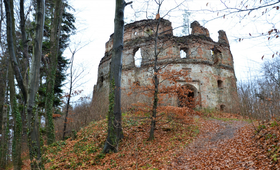 Руїни Добромильського замку