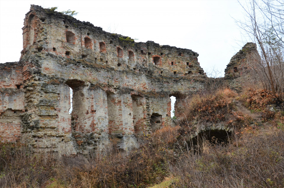 Руїни Добромильського замку