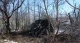 Бійці 102-ї бригади ТрО показали, як б'ють ворогів з "Рапіри"