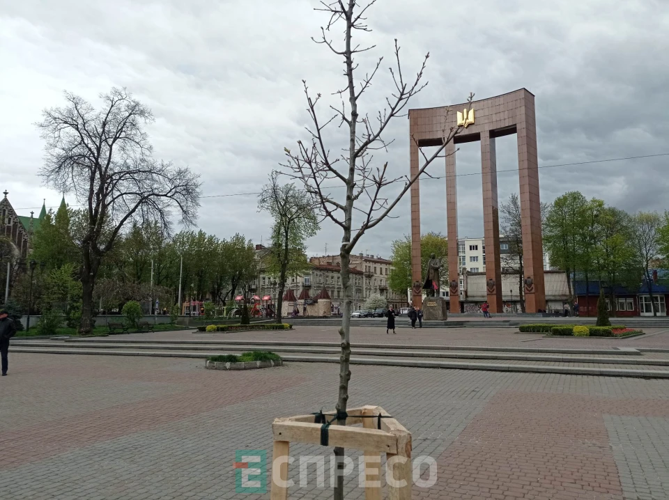 вул. Бандери