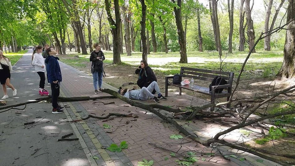 гілка, що травмувала чоловіка