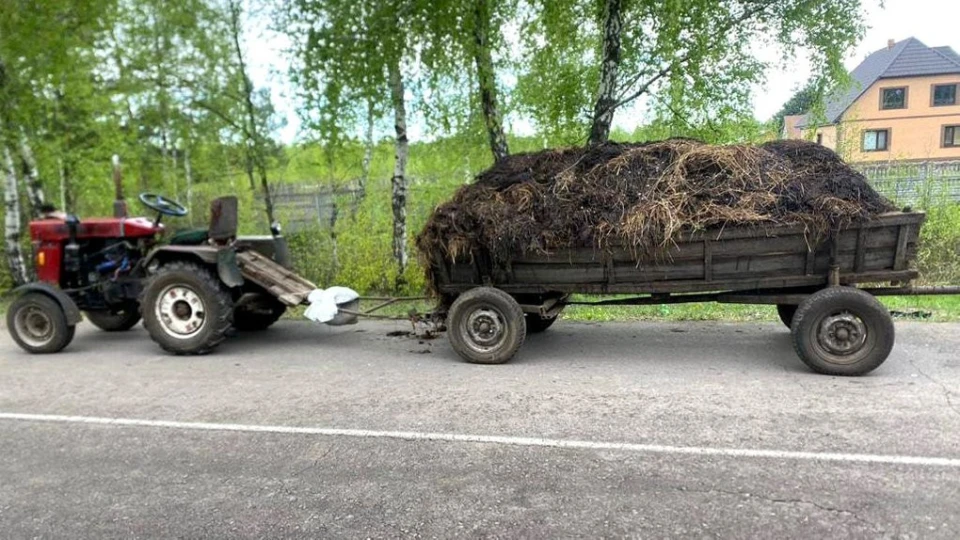 підвода