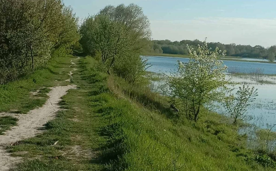 порушення рибальства і мислиства