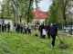 алея магнолій у Жовкві