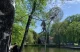 в Івано-Франківську з'явились ковані фея і кульбабка