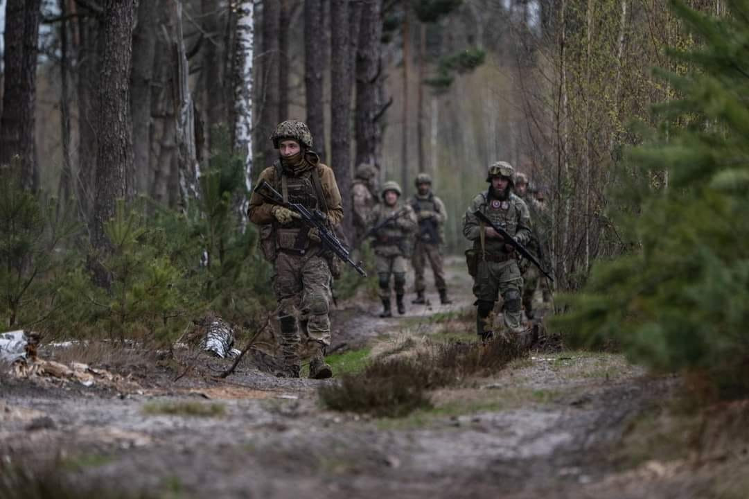 Russians try to push Ukrainian troops in Serebryanske Forestry, Luhansk ...