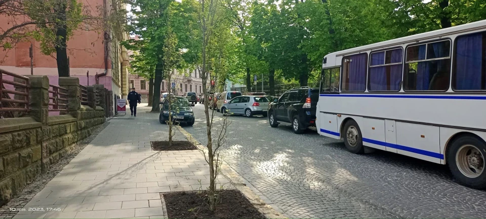 дерева