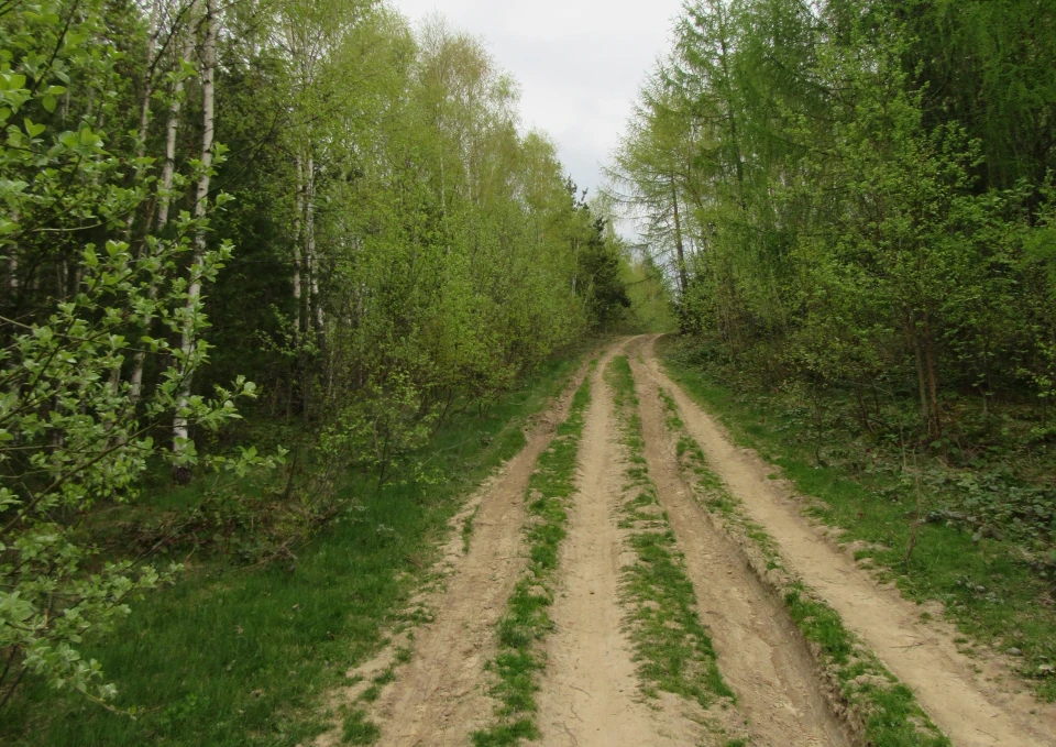 Ілюстративне фото