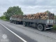 вантажівка з нелегальною деревиною