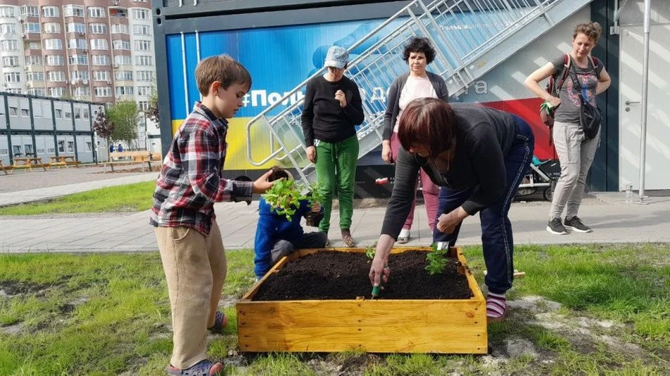 грядки у модульному містечку