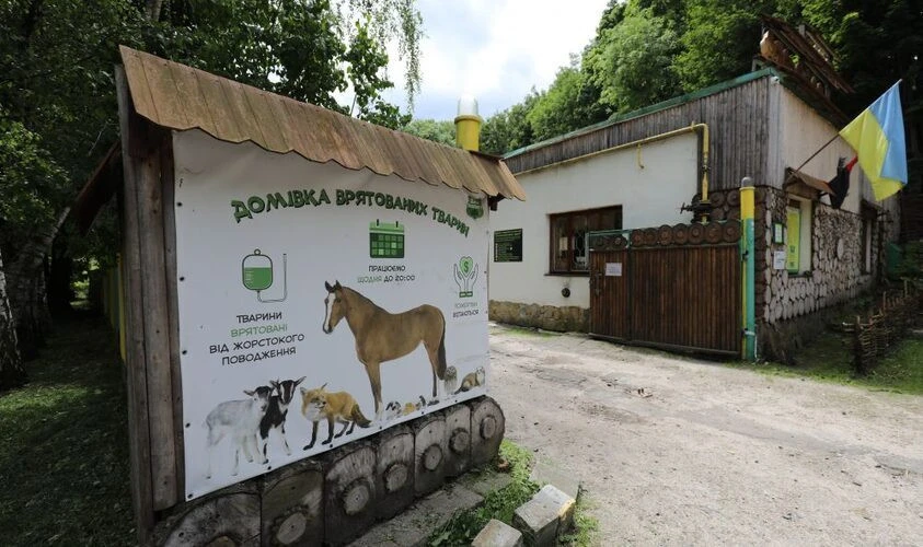 Домівка