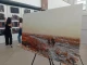 у Львові відкрили виставку "Небесний фотограф"