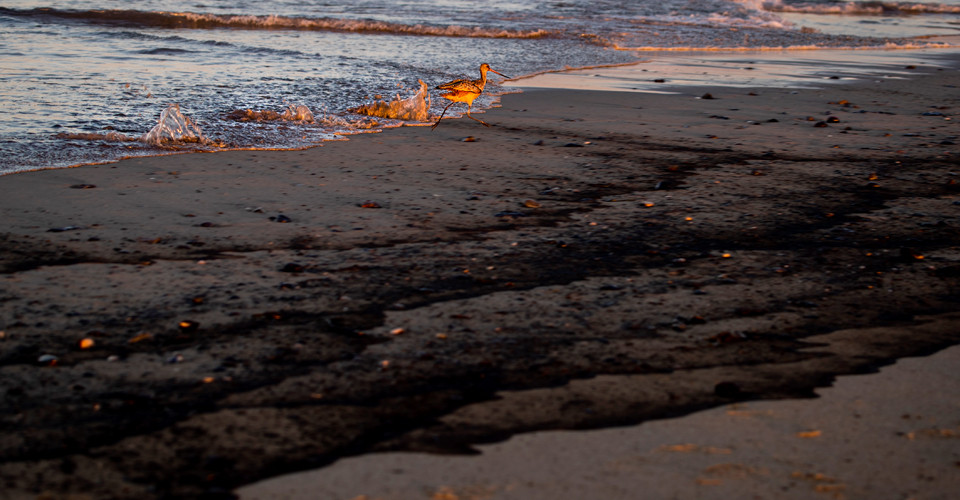 нафтова пляма