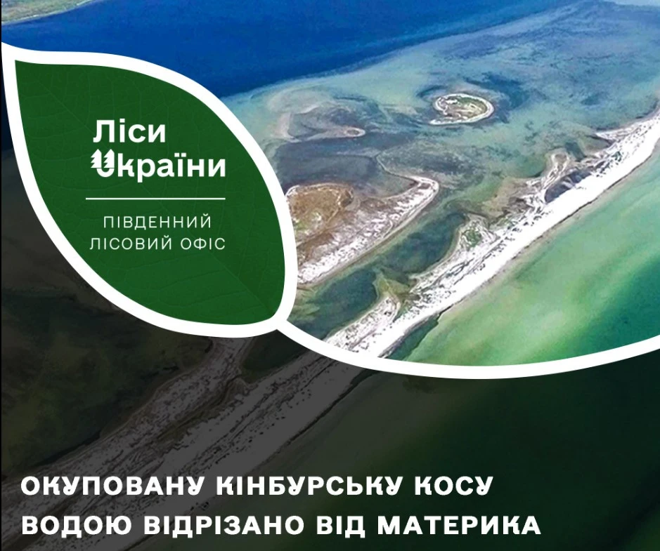 Кінбурнська коса