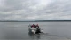 потопельник