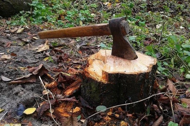 рубка