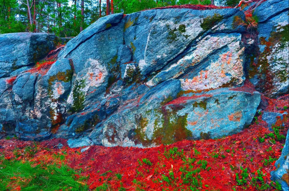 фото Ян Магне Гжерде, NIKU