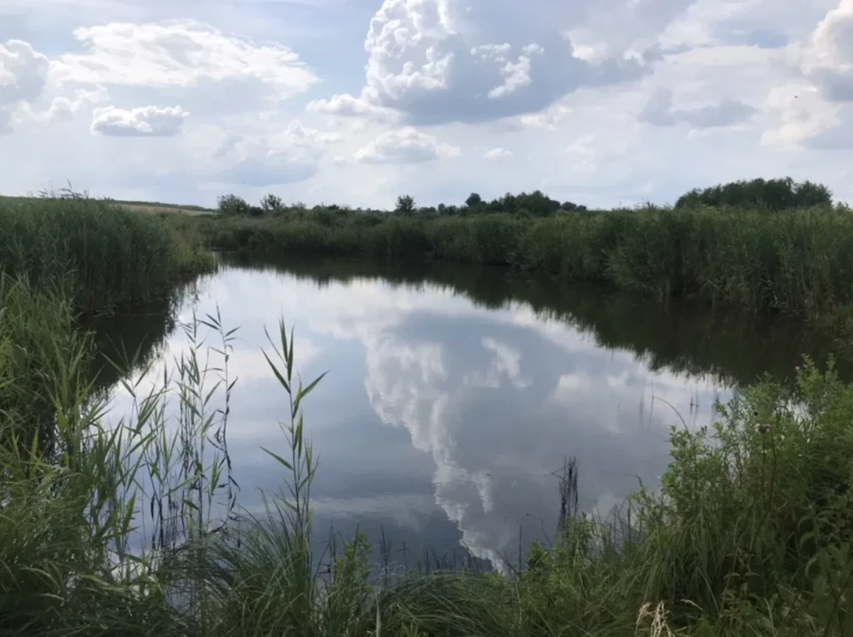 земля зі ставком