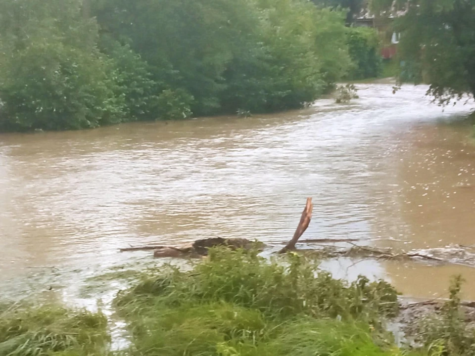 На Прикарпатті підтопило село