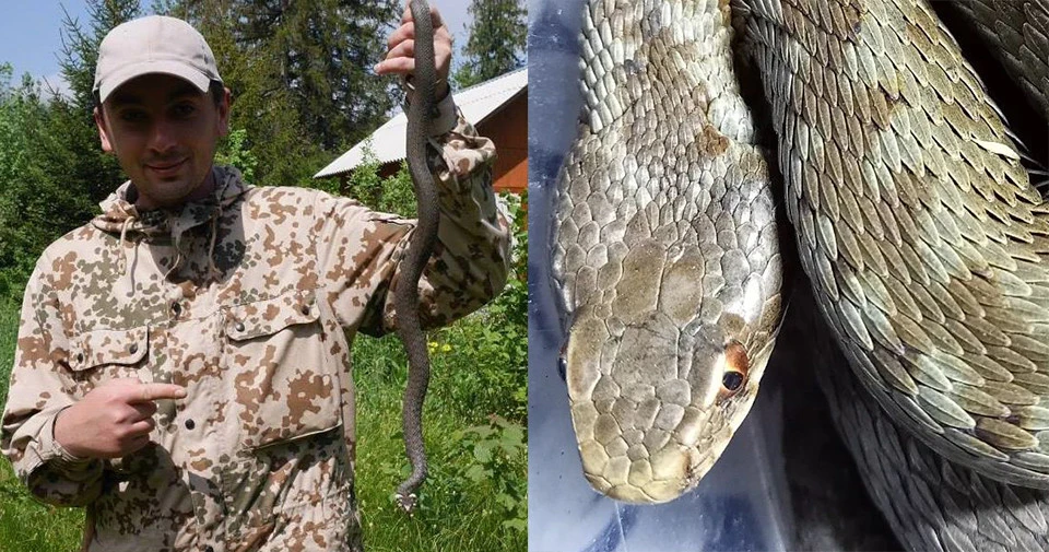 змієлов Ігор Хома