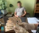 затримання на хабарі