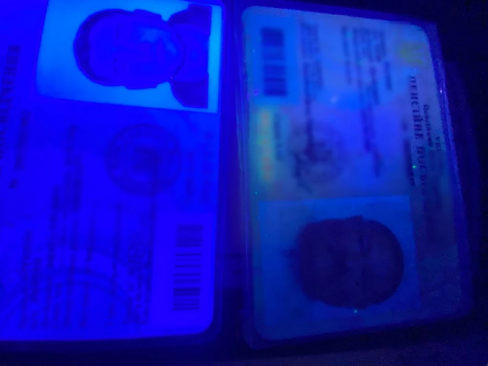 ухилянт-псевдопенсіонер