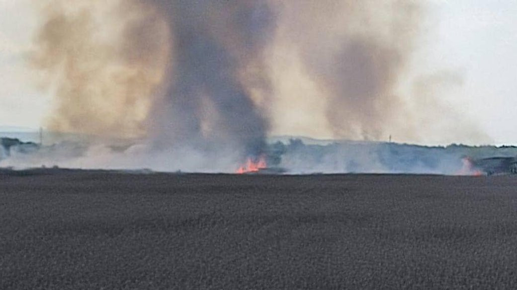 пожежа на пшеничному полі