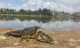 вилов раків