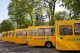 шкільні автобуси
